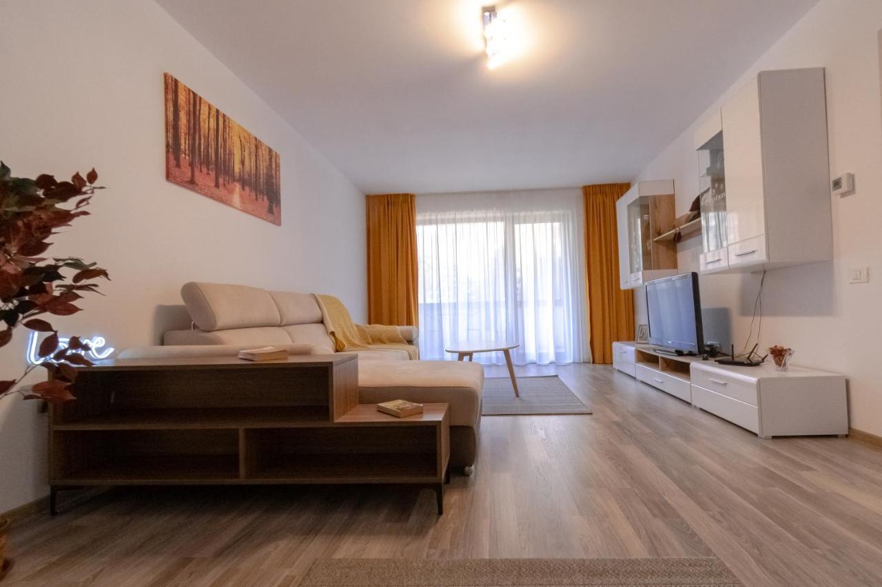 Apartment Transylvanian Apt. W/ Lrg. Terrace&parking - Karpatenhaus